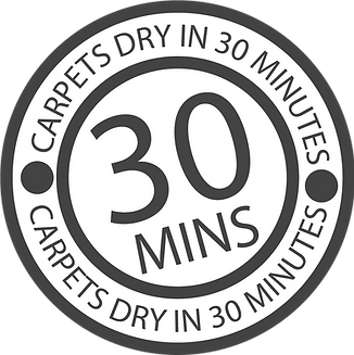 Carpets & Upholstery Dry In 30 Logo Grey