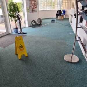 Carpets & Upholstery 20220407 115050 300x300