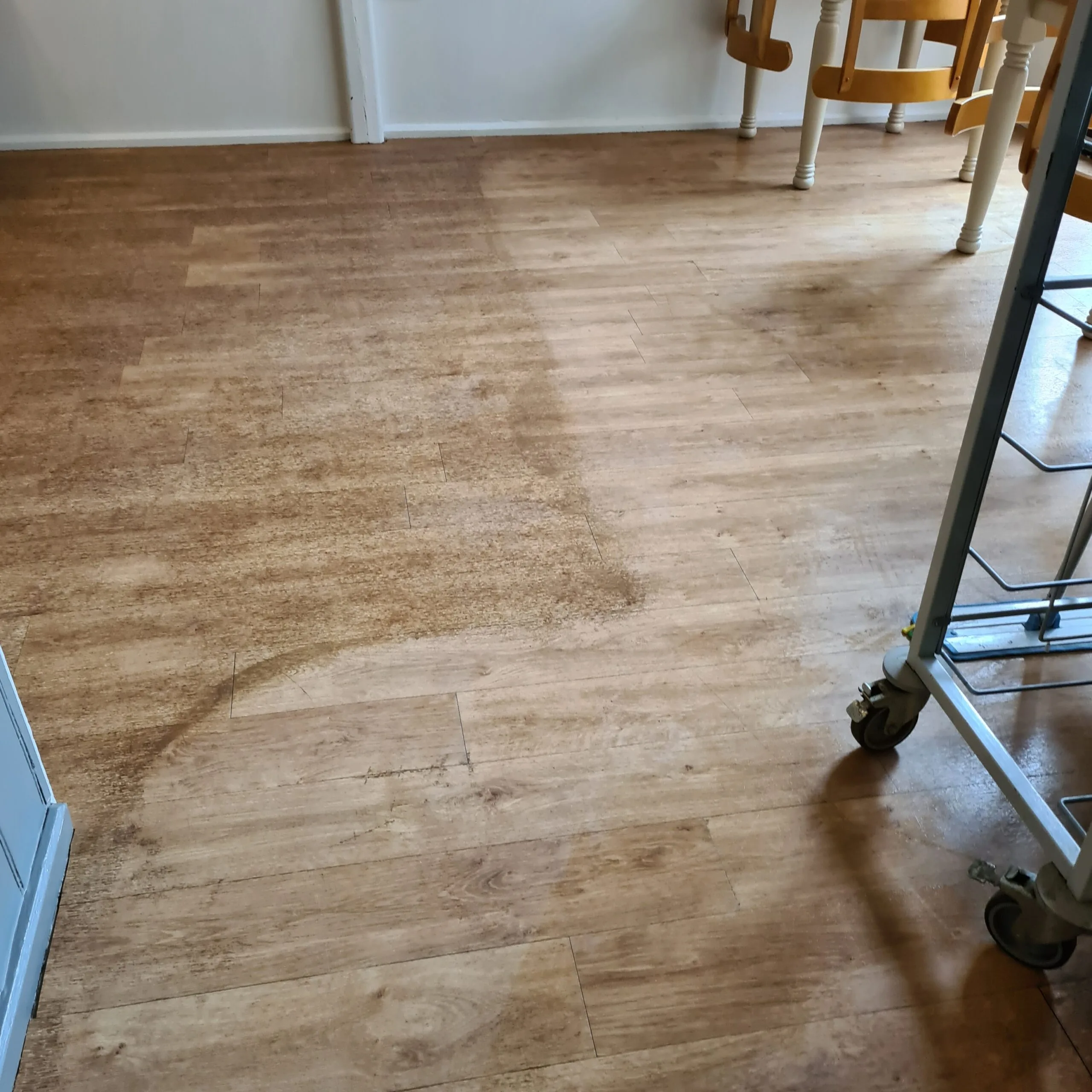 Wood-effect LVT floor mid-clean in a kitchen area, showing the contrast between cleaned and uncleaned sections